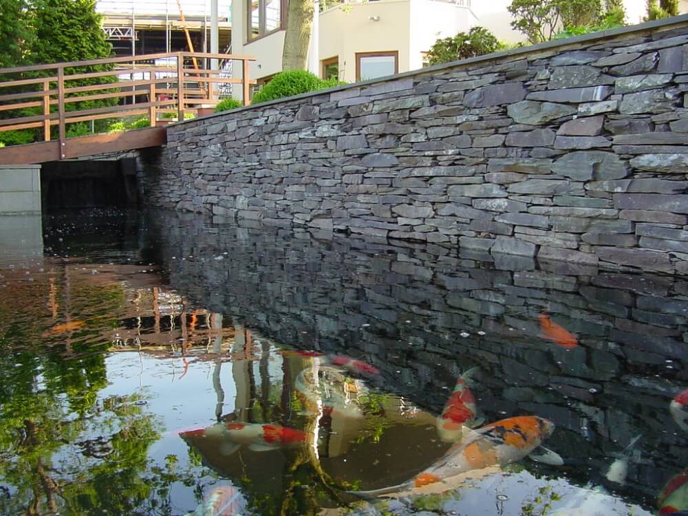 Koi pond with slate wall