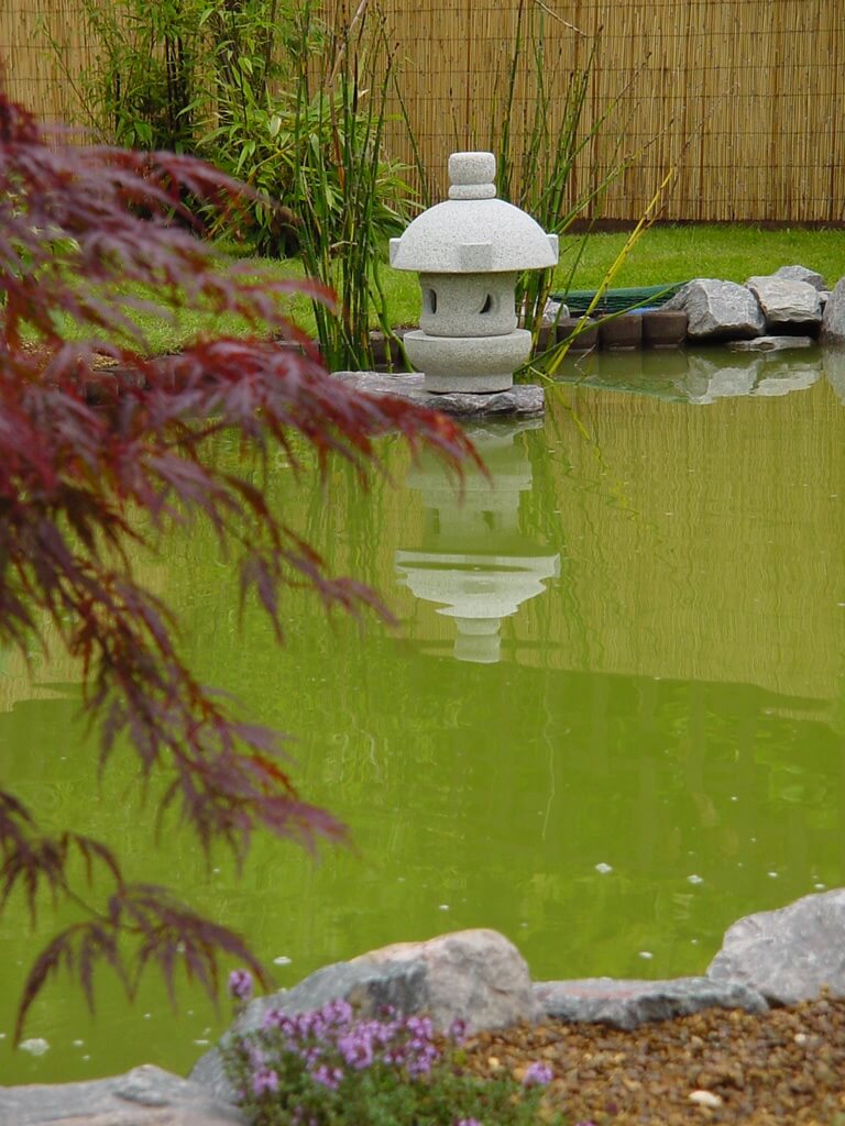 Misaki in Pond