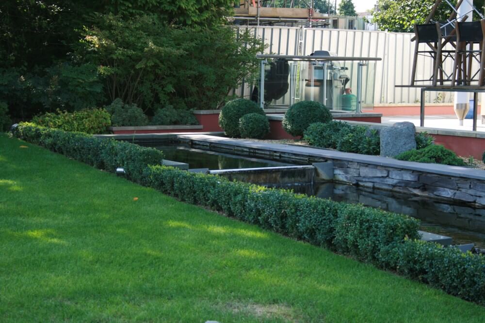 Water rill with box hedge border