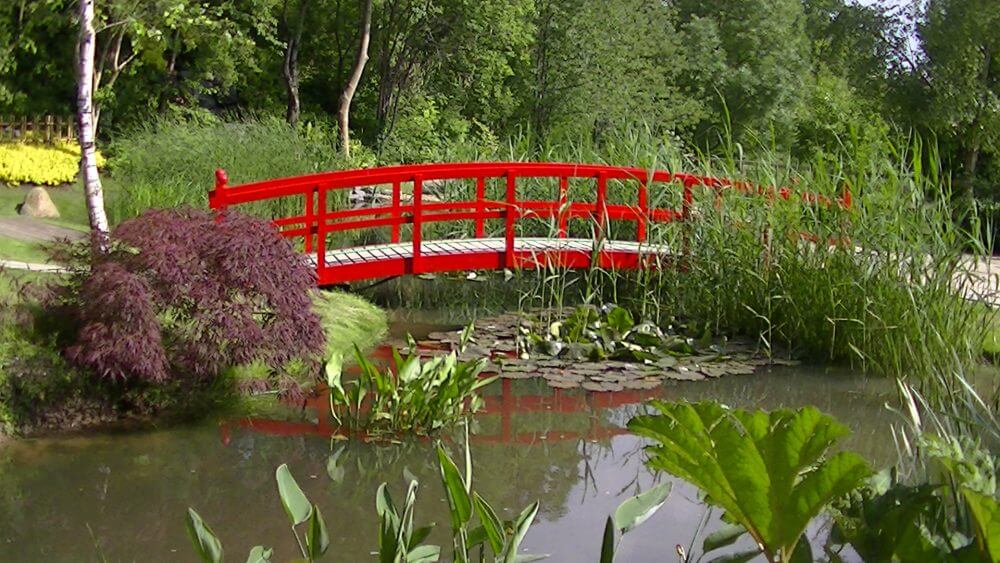 Bridge over Koi pond