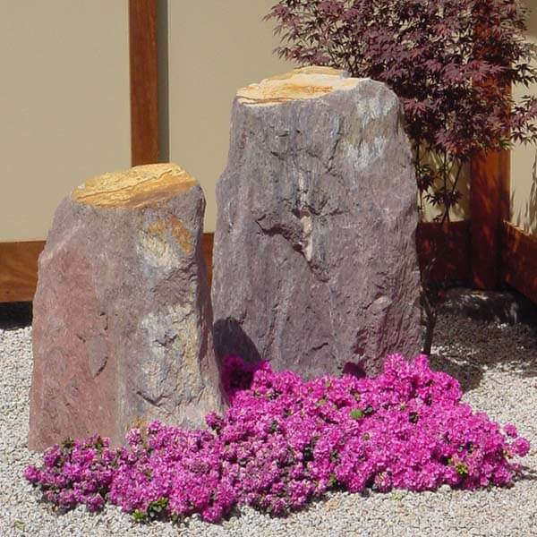 Azalea in flower with standing stones
