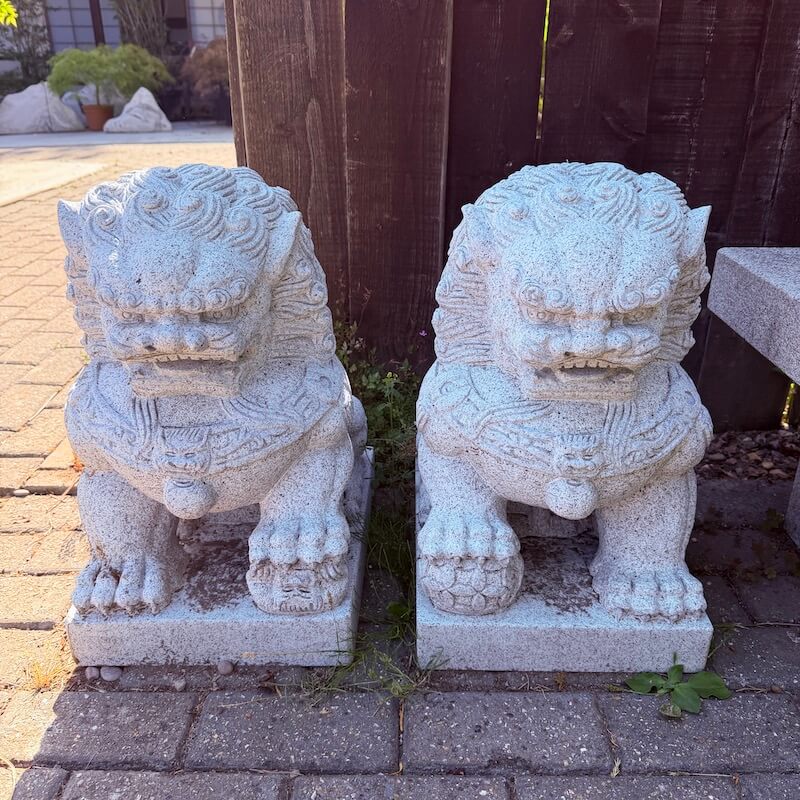 Temple Lions / Foo Dogs - Image 3