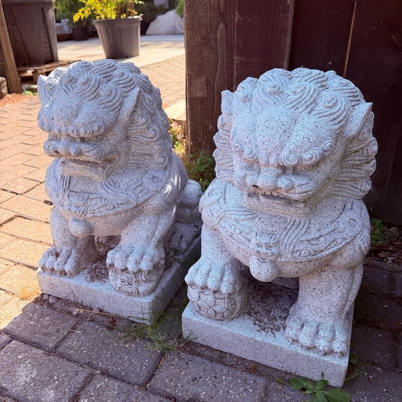 Temple Lions / Foo Dogs - Image 4