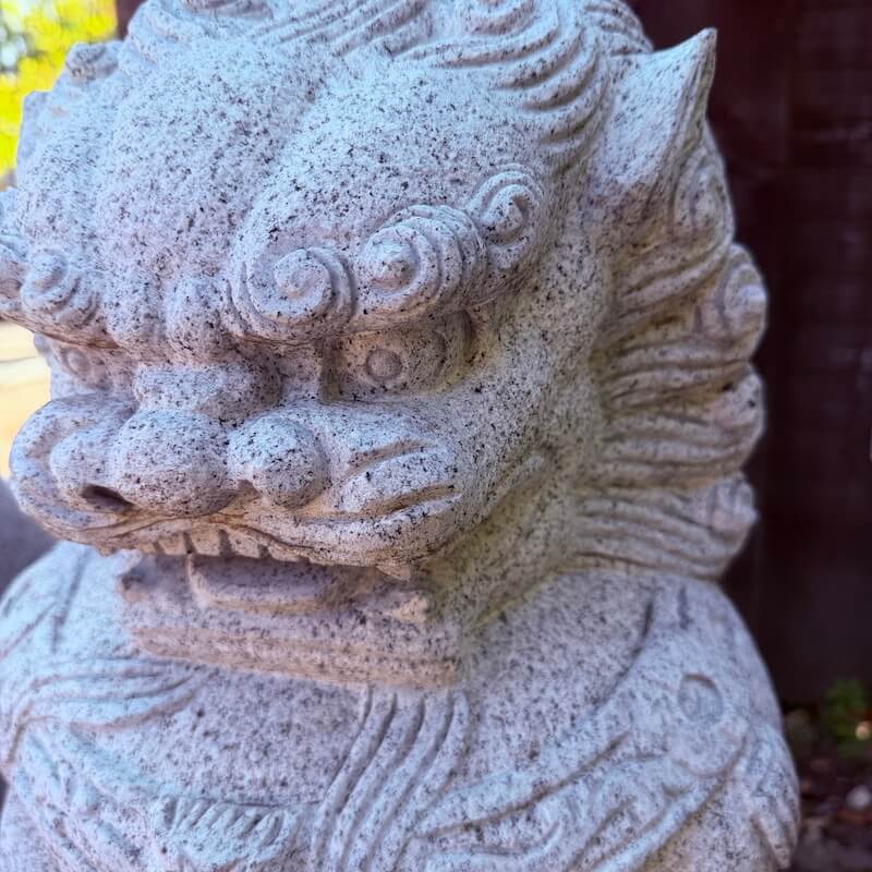 Temple Lions / Foo Dogs - Image 5