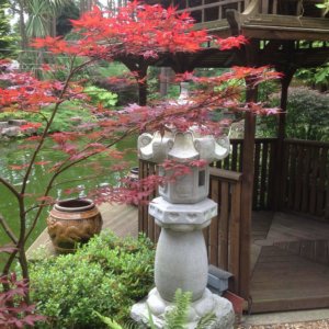 Zendo-ji Japanese Lantern