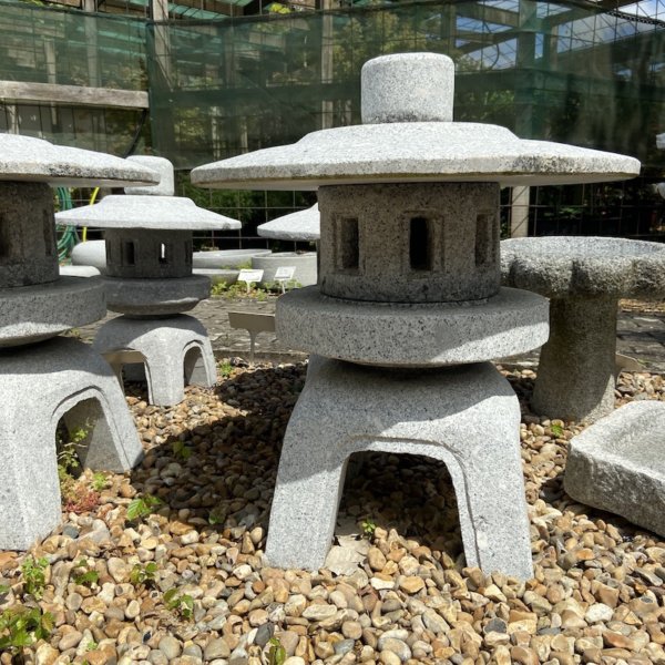 Kodai Maru Yukimi Nara Japanese Lantern