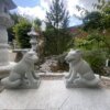 Temples Lions / Foo Dogs - Image 4
