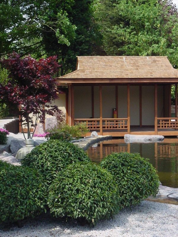 Japanese Tea House and Garden around Koi Pond