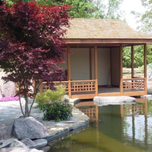 Japanese Tea House and Garden around Koi Pond