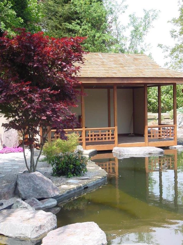 Japanese Tea House and Garden around Koi Pond