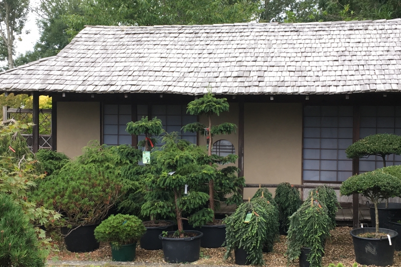 Japanese tea house Japanese tea house