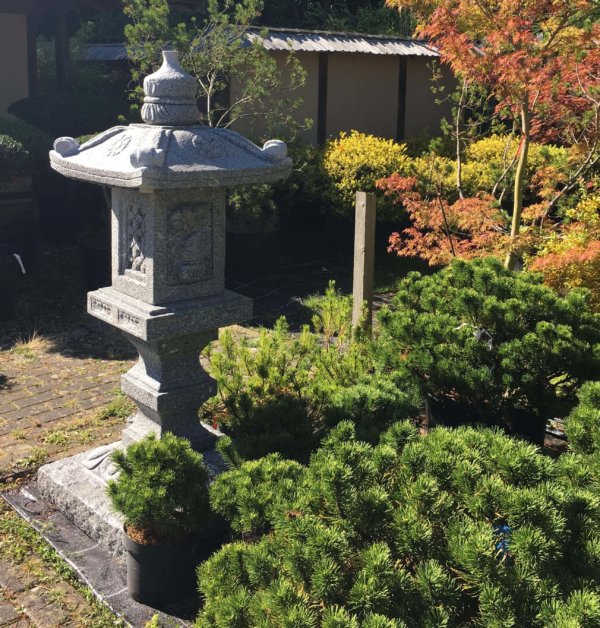 Kakudai Kaku japanese stone lantern