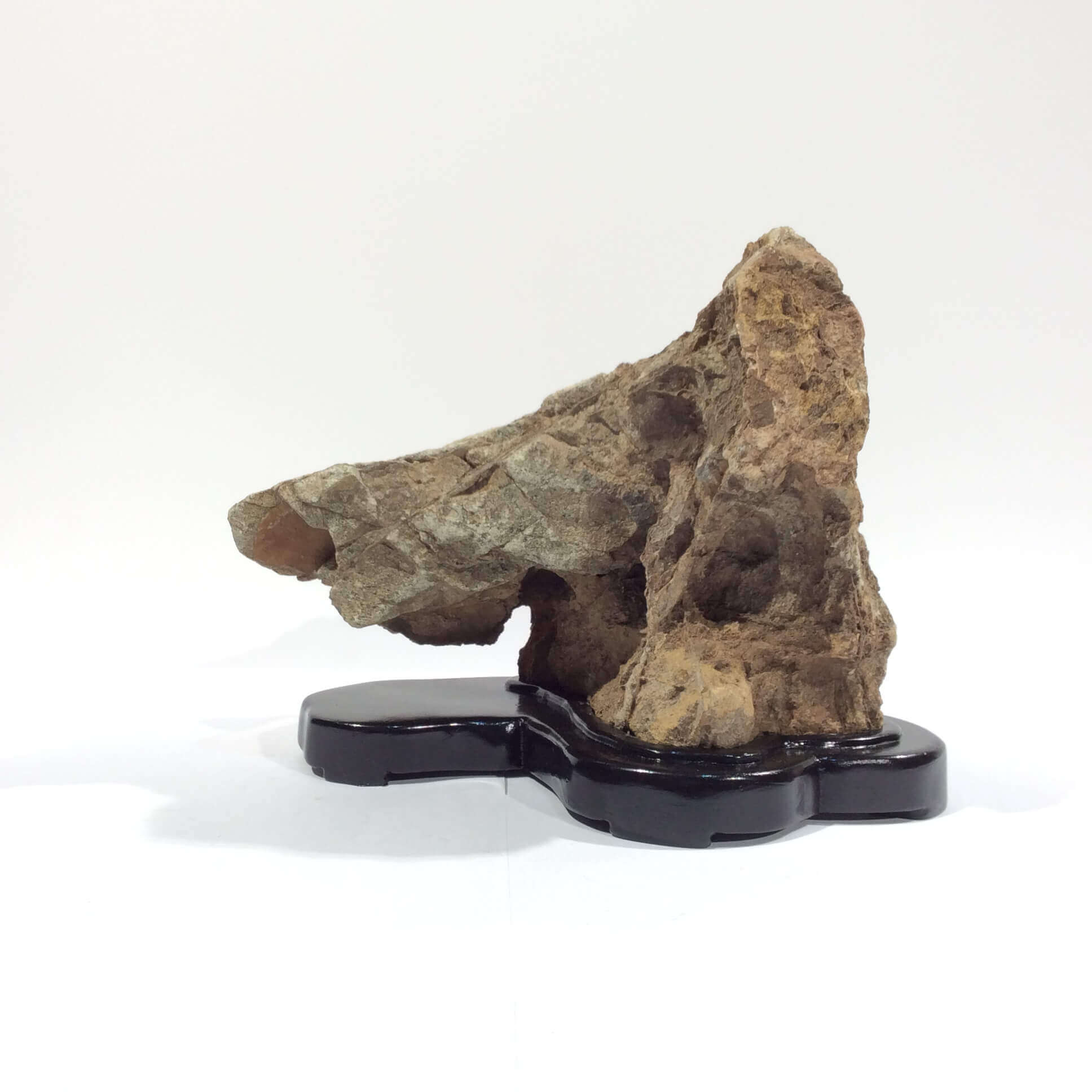 Japanese Gifts The Japanese Garden Centre, Kent