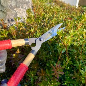 Japanese Garden Tools