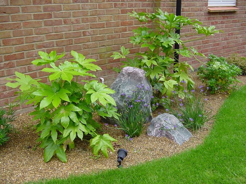 blue grey granite DSC00049 2