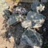 Blue Grey Granite - Large Rockery Stone - Image 5