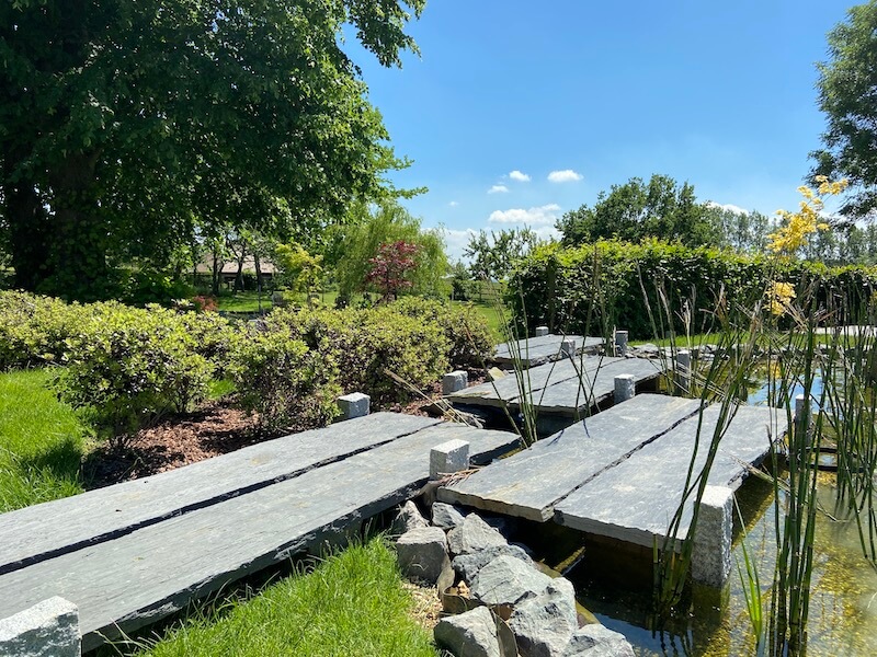 bridge pathway IMG_5533