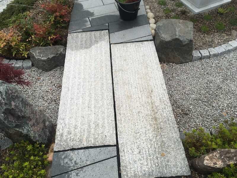 bridge pathway IMG_7268