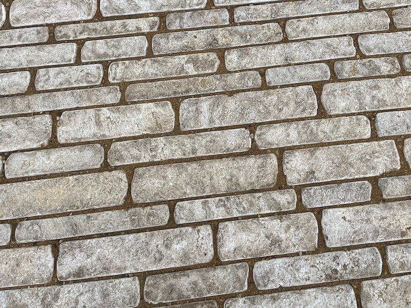 gyo pathway IMG_9047