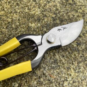 Japanese Pro Secateurs standard