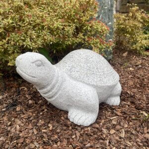 Kame (Turtle)