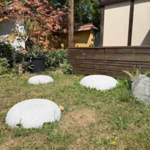 Flat Topped Domes